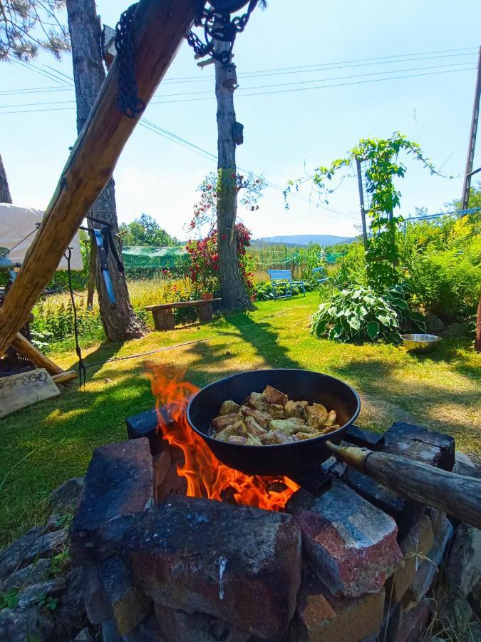 Dom Na Przedgorzu-Apartamenty Z Widokiem Na Gory Swieradow-Zdroj Exterior photo